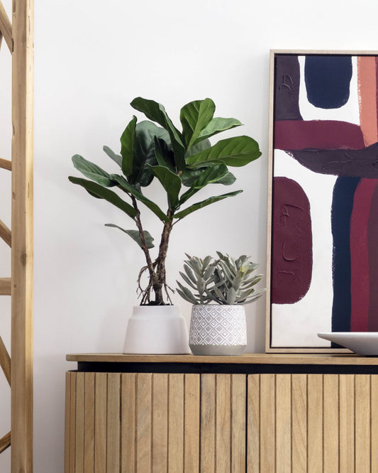 Lyrata veštačka biljka 60 cm