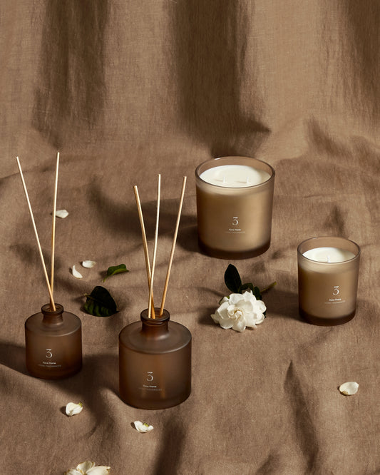 100ml Citrus Wave zamena difuzora mirisa