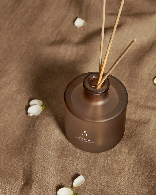 100ml Citrus Wave mirisni difuzor od trske