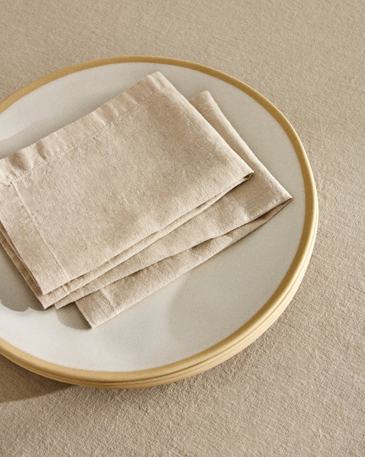 Aldine set of 2 linen blend napkins in stone grey