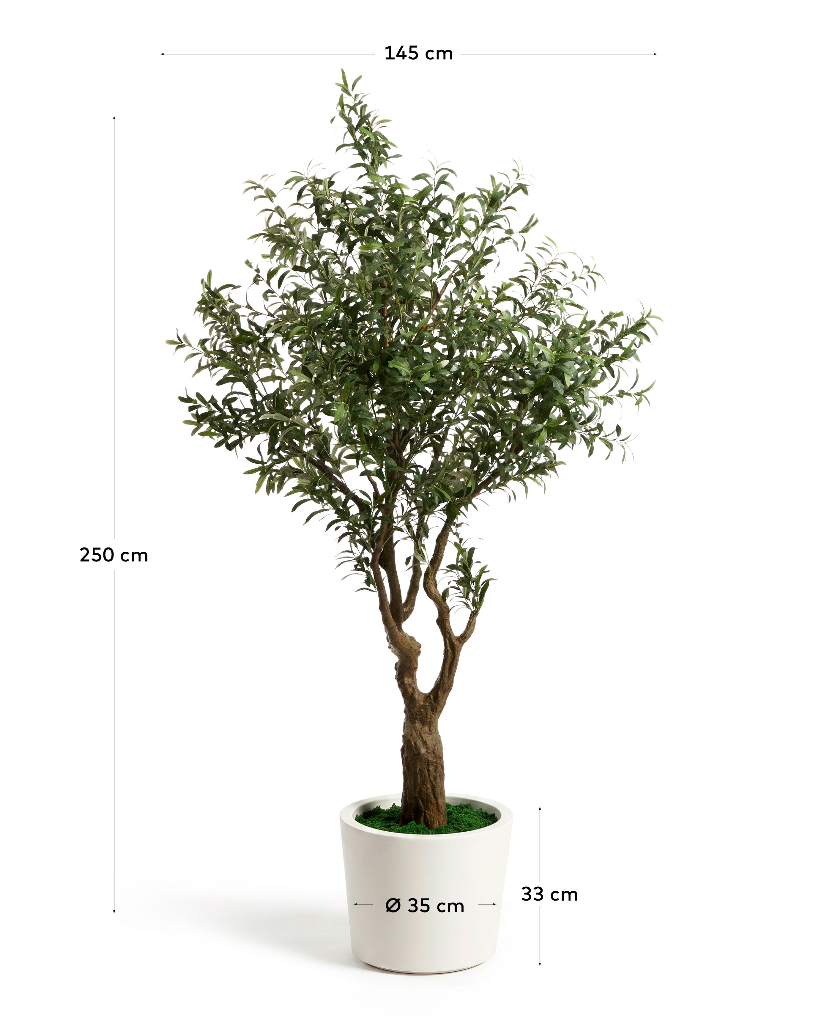 Olive artificial tree with white planter 250 cm