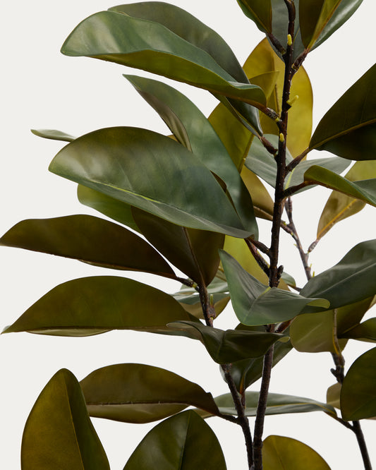 Veštačko drvo Magnolia sa belom saksijom, 160 cm