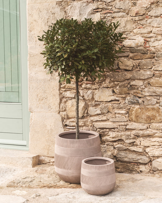 Tival set of 2 pots with beige cement effect Ø 50 cm / Ø 34 cm