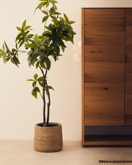 Artificial Pachira tree in a black pot 180 cm